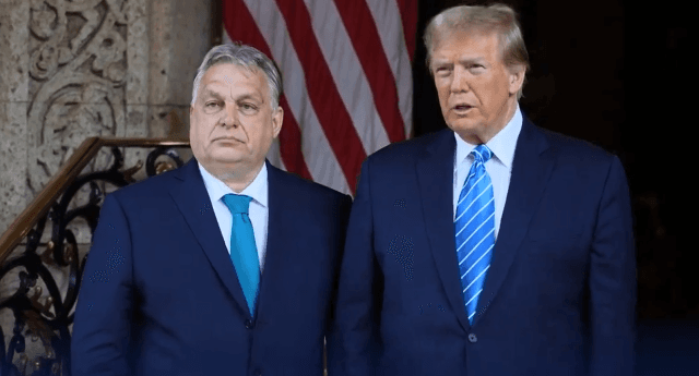 Nafta, Rusia dhe Ukraina në agjendën e takimit Trump-Orban