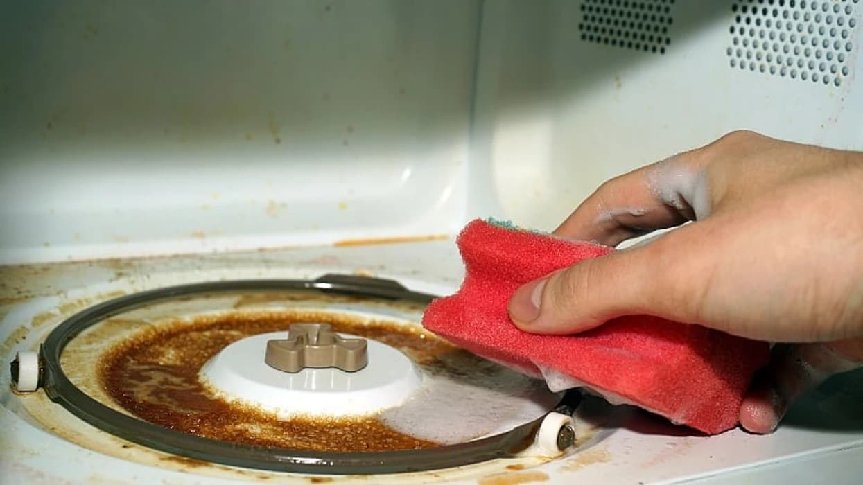 Mikrovala plot yndyrë? Mënyra më e thjeshtë për të pastruar mikrovalën pa detergjentë të dëmshëm