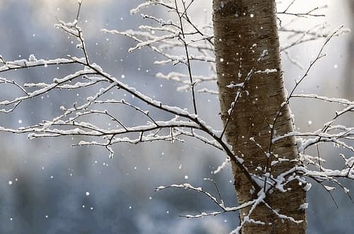 U paralajmëruan temperatura ekstreme për fundvit, reagon Instituti Hidrometeorologjik i Kosovës