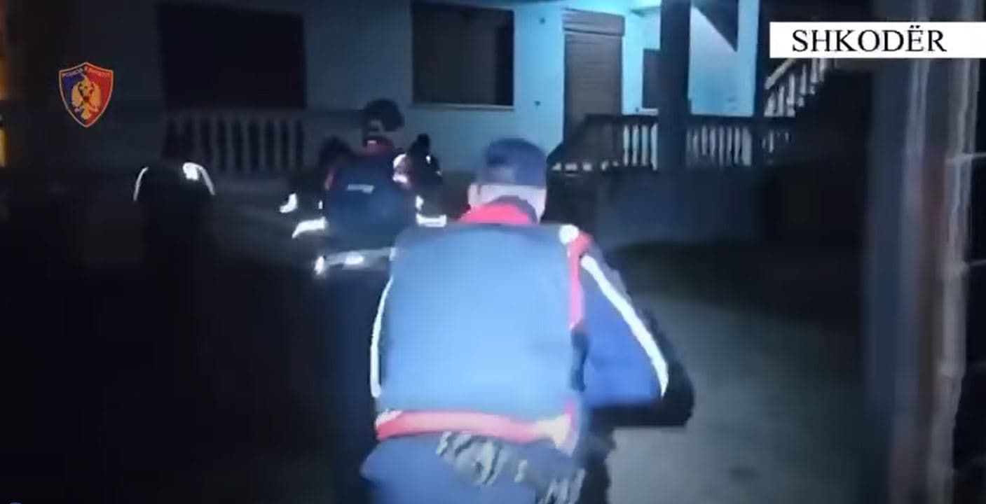 Shkodër: Goditen 7 ambiente të kultivimit të bimëve narkotike, 22-vjeçari arrestohet në flagrancë