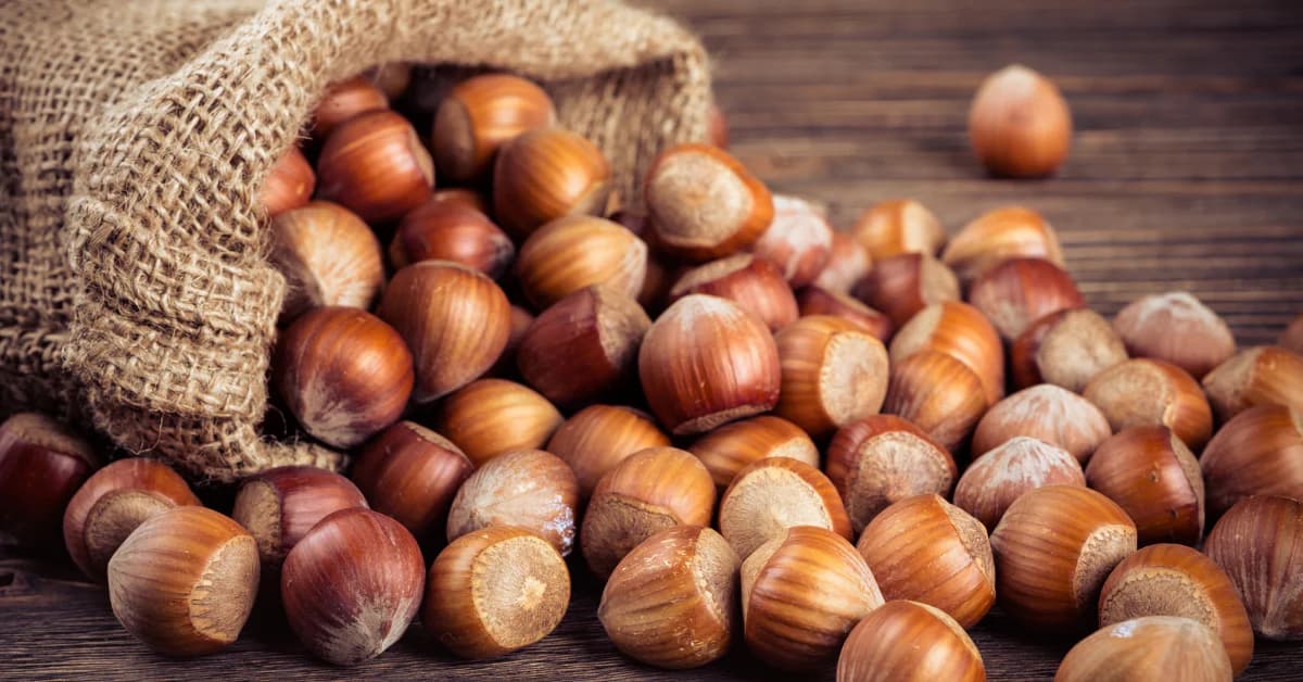 Disa nga vetitë e lajthive që ndikojnë në shëndetin tonë