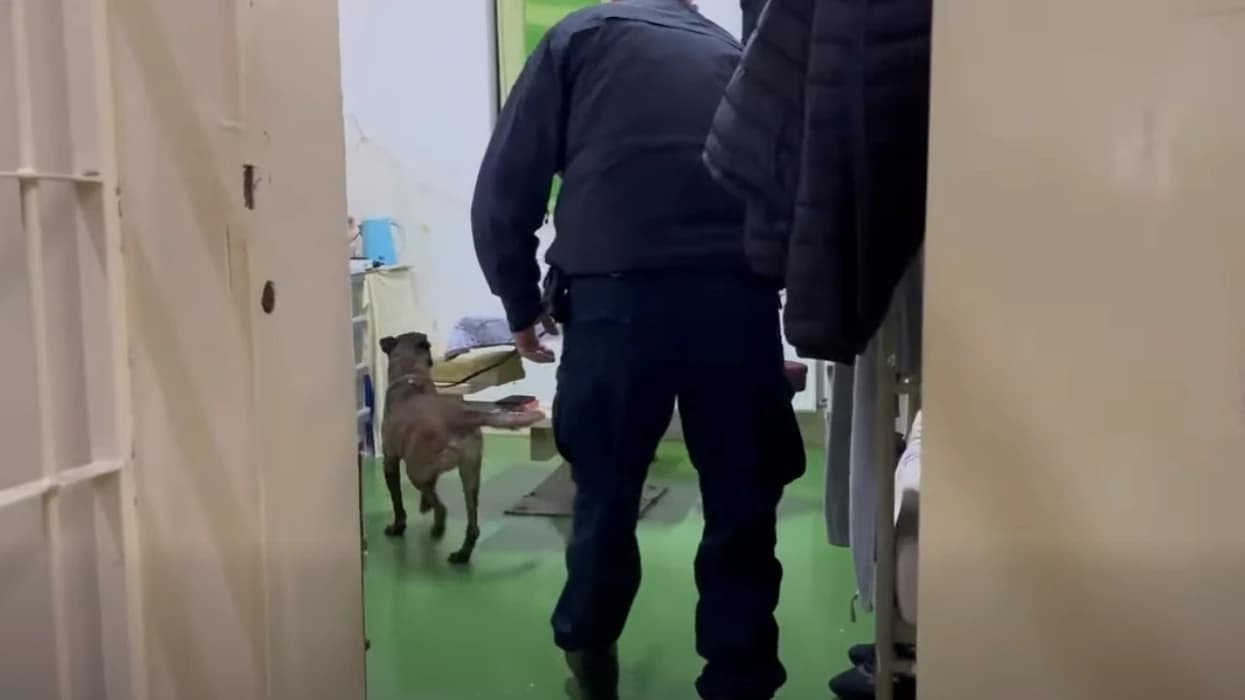 Operacion i gjerë në burgun e Dubravës, të pranishëm edhe njësiti special K9