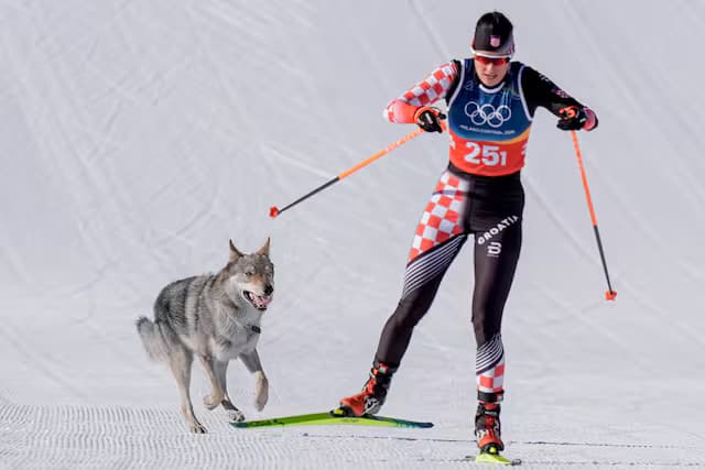 Skiatorja ndiqet nga një kafshë e arratisur në mes të garës olimpike