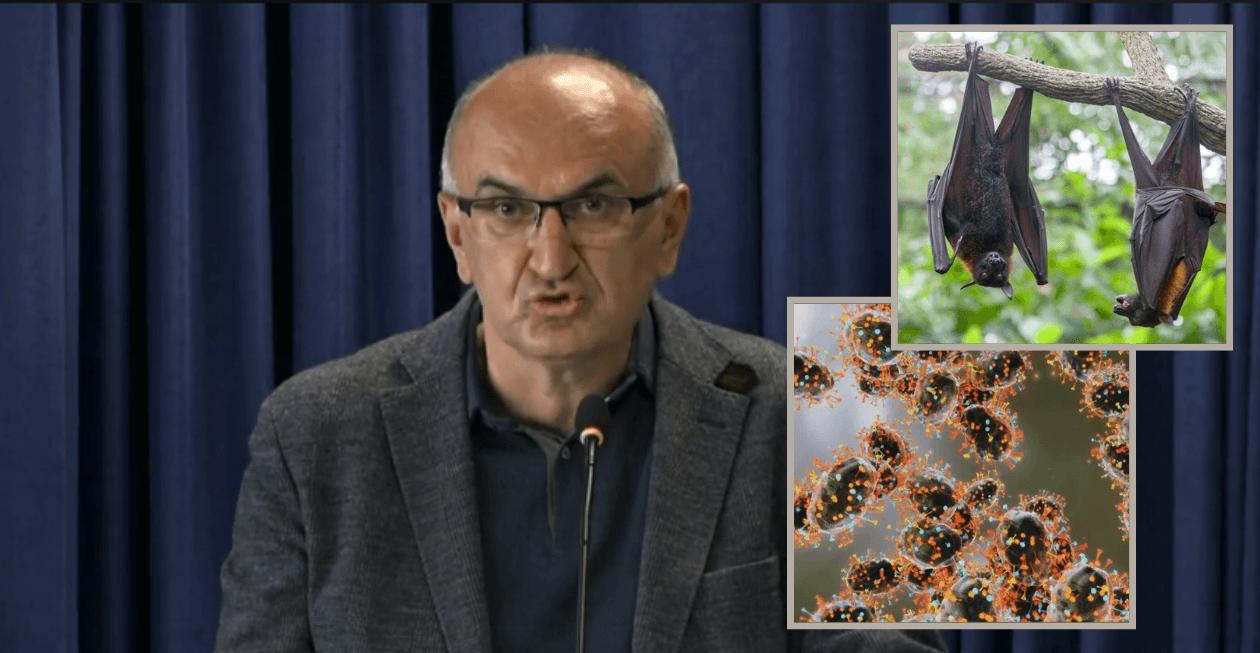 Virusi Nipah në alarm global – Naser Ramadani tregon a rrezikohet Kosova