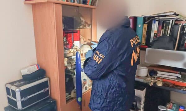 Prangoset punëtori i spitalit në Hungari , dyshohet se hante trupat e vdekur të njerëzve