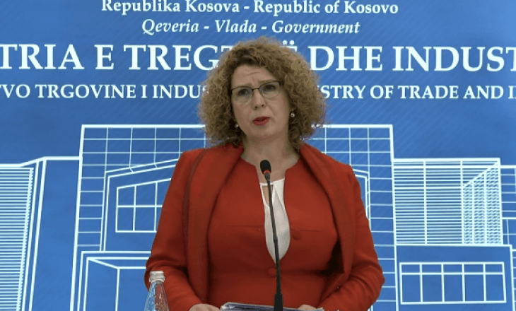 Arrestimet në MINT, Rozeta Hajdari thirr konferencë për media
