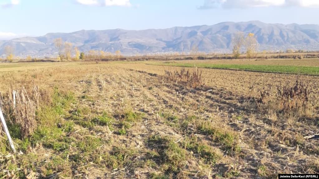 Kosovarët po e lënë tokën djerrë: Mbi 6 mijë hektarë pa u punuar gjatë 2025-ës