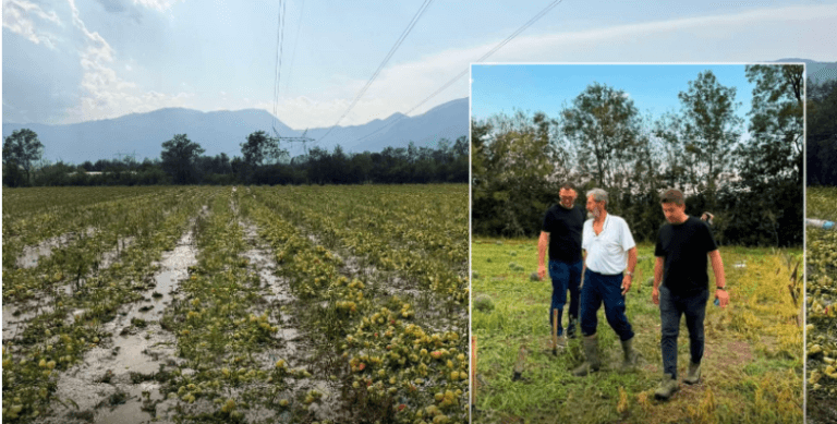 Breshëri shkatërron bujqësinë në Istog, Gegaj: Nga vlerësimet e para, rreth 90% e sipërfaqeve të mbjella janë dëmtuar