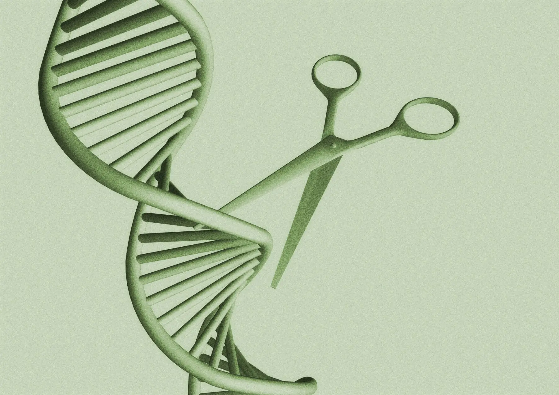 nje-prerje-ne-adn-mund-te-ndryshoje-luften-kunder-kolesterolit-te-larte