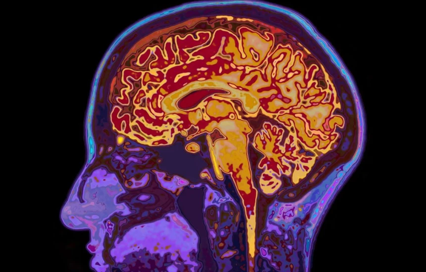 Shkencëtarët zbulojnë pse njerëzit nuk mund të përqendrohen pas një nate pa gjumë