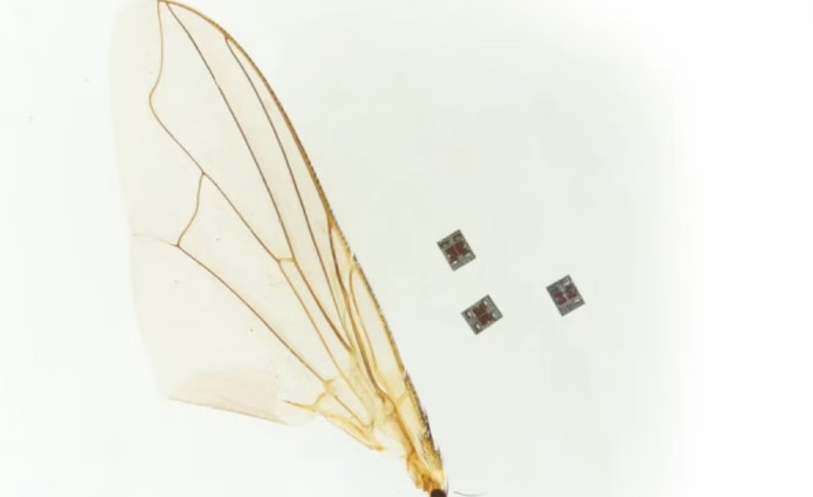 Shkencëtarët prezantojnë robotin që mund të lëvizë brenda trupit të njeriut