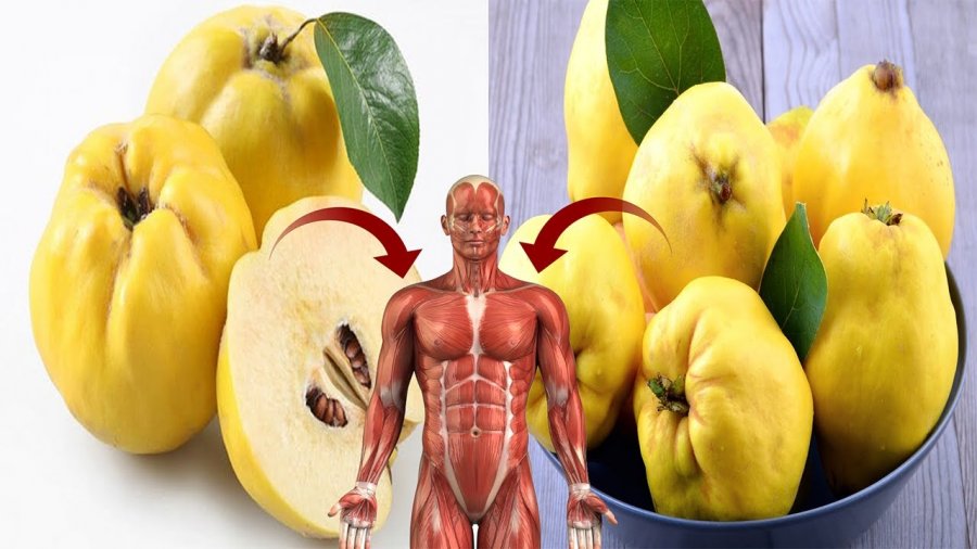 Dobitë shëndetësore nga ftoi