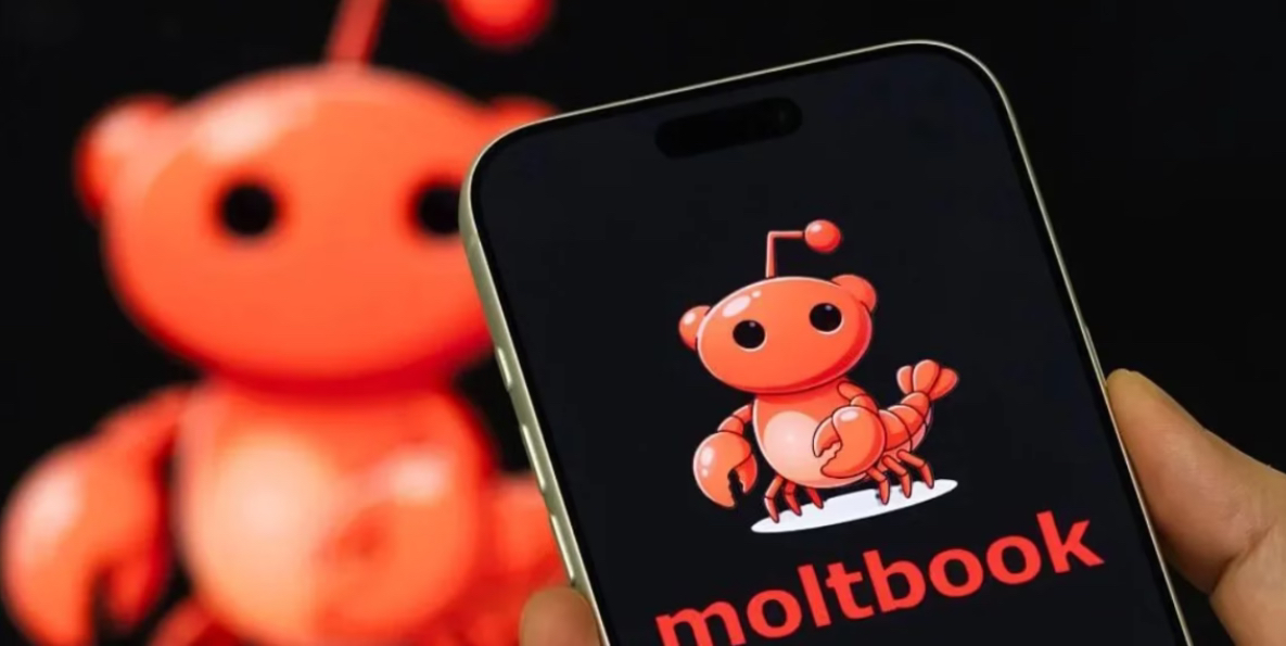 rrjeti-social-qe-po-frikeson-boten