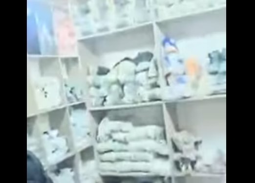 Dogana konfiskon mallra që dyshohet se janë të kontrabanduara  vlera rreth 800 mijë euro