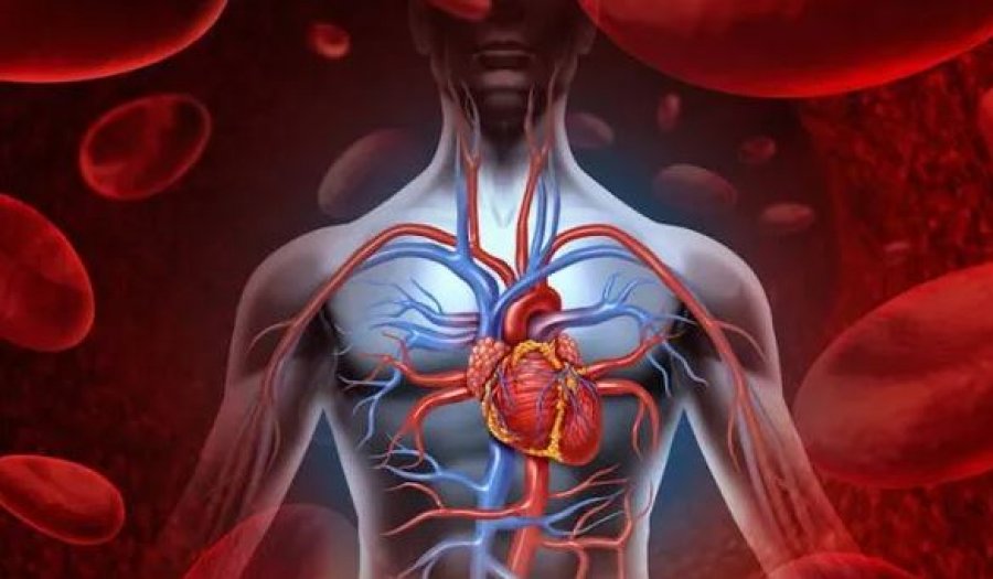 metoda-per-te-larguar-yndyren-ne-gjak