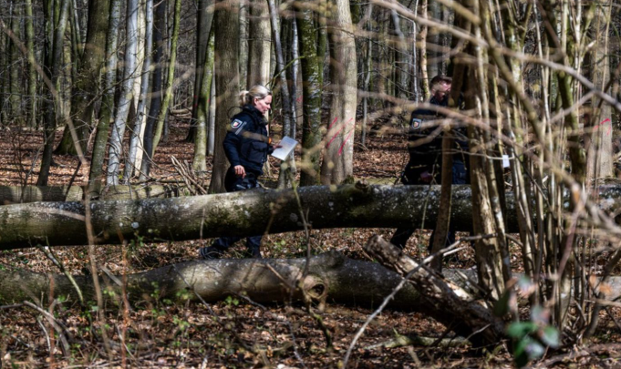 tragjedi-ne-gjermani-rrezohet-pema-gjate-aktivitetit-te-pashkeve-tre-te-vdekur