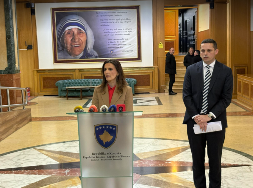 Çitaku  Kjo rezolutë nuk do të duhej të na ndante  por të na bashkonte