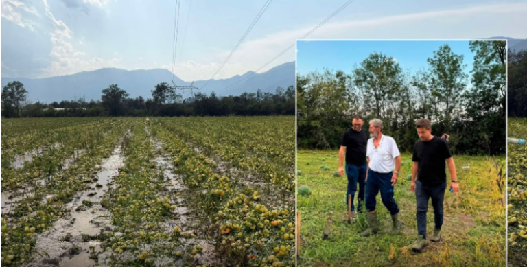 Breshëri shkatërron bujqësinë në Istog  Gegaj  Nga vlerësimet e para  rreth 90  e sipërfaqeve të mbjella janë dëmtuar