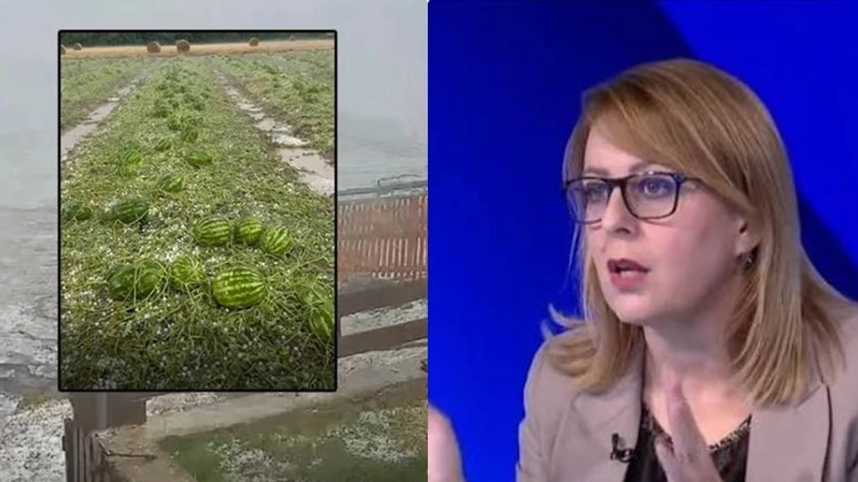 Bajrami kërkon mbledhje urgjente të Qeverisë  Të ndahen mjete për kompensimin e dëmeve nga breshri